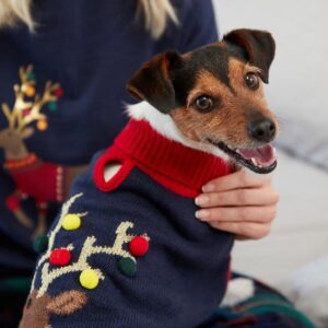 schnauzer jumper joules